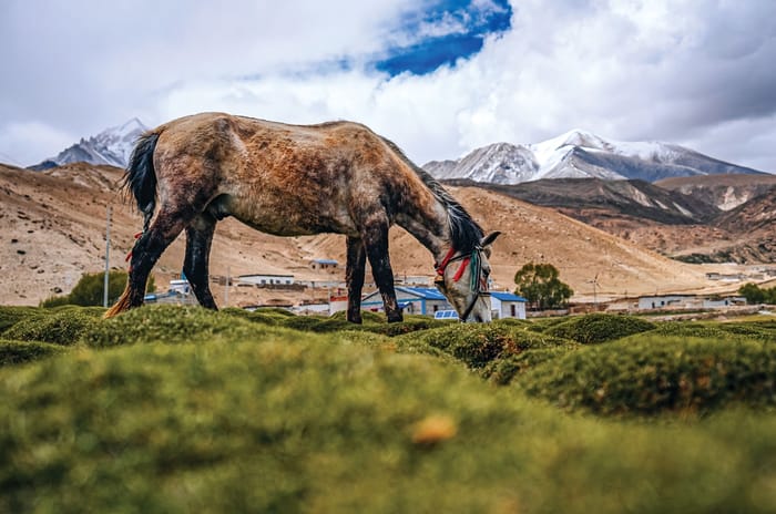 Royal Enfield ride to Mustang, Nepal: Of Men, Mountains and Motorcycles